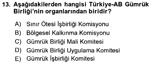 Avrupa Birliği ve Türkiye İlişkileri 2021-2022 Ara Sınav - 13. soru