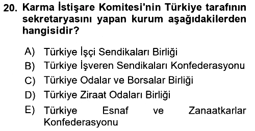 Avrupa Birliği ve Türkiye İlişkileri 2023-2024 Ara Sınav - 20. soru