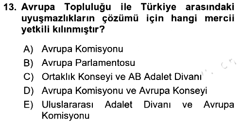Avrupa Birliği ve Türkiye İlişkileri 2024-2025 Ara Sınav - 13. soru