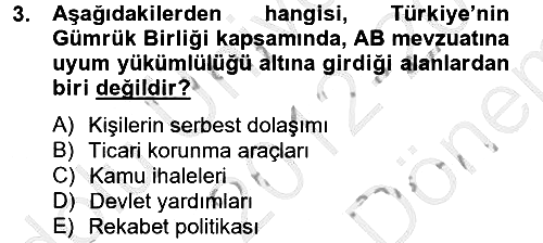 Avrupa Birliği ve Türkiye İlişkileri 2012-2013 Dönem Sonu Sınavı - 3. soru