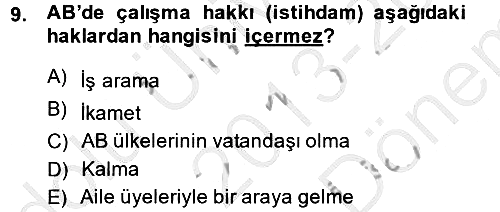 Avrupa Birliği ve Türkiye İlişkileri 2013-2014 Dönem Sonu Sınavı - 9. soru