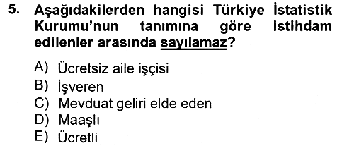Çalışma Ekonomisi 2012-2013 Ara Sınav - 5. soru