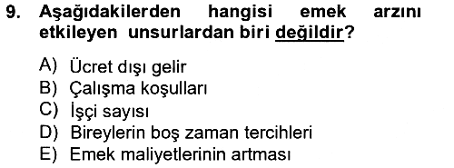 Çalışma Ekonomisi 2012-2013 Ara Sınav - 9. soru