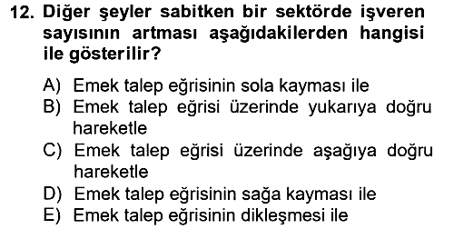 Çalışma Ekonomisi 2012-2013 Ara Sınav - 12. soru