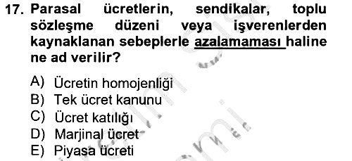 Çalışma Ekonomisi 2012-2013 Ara Sınav - 17. soru