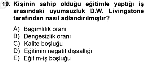 Çalışma Ekonomisi 2012-2013 Ara Sınav - 19. soru
