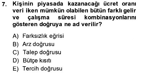 Çalışma Ekonomisi 2013-2014 Ara Sınav - 7. soru