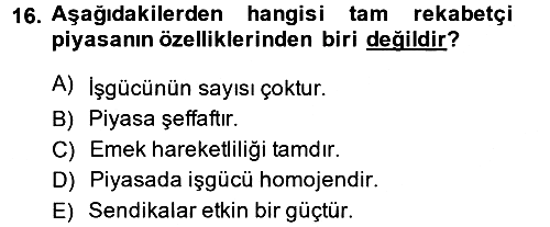 Çalışma Ekonomisi 2013-2014 Ara Sınav - 16. soru