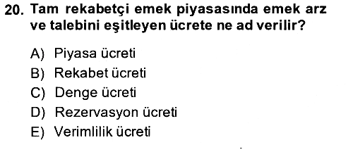Çalışma Ekonomisi 2013-2014 Ara Sınav - 20. soru
