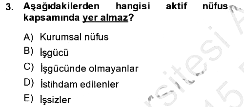 Çalışma Ekonomisi 2014-2015 Ara Sınav - 3. soru