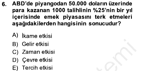 Çalışma Ekonomisi 2014-2015 Ara Sınav - 6. soru