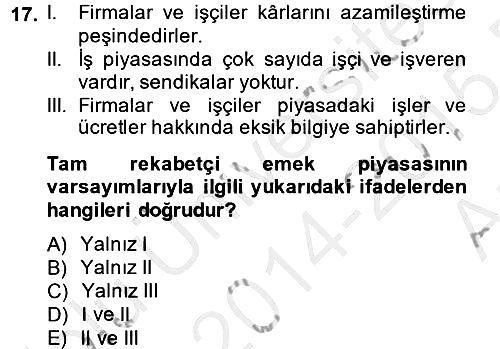 Çalışma Ekonomisi 2014-2015 Ara Sınav - 17. soru