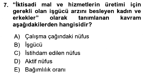 Çalışma Ekonomisi 2016-2017 Ara Sınav - 7. soru