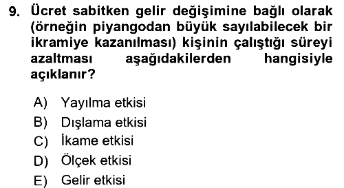 Çalışma Ekonomisi 2016-2017 Ara Sınav - 9. soru