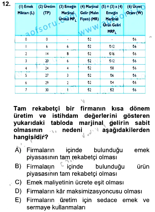 Çalışma Ekonomisi 2016-2017 Ara Sınav - 12. soru