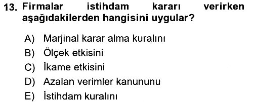 Çalışma Ekonomisi 2016-2017 Ara Sınav - 13. soru