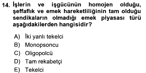 Çalışma Ekonomisi 2016-2017 Ara Sınav - 14. soru