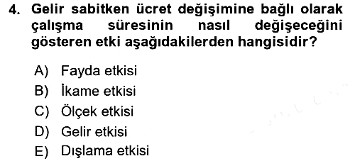 Çalışma Ekonomisi 2017-2018 Ara Sınav - 4. soru