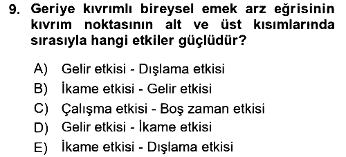 Çalışma Ekonomisi 2017-2018 Ara Sınav - 9. soru