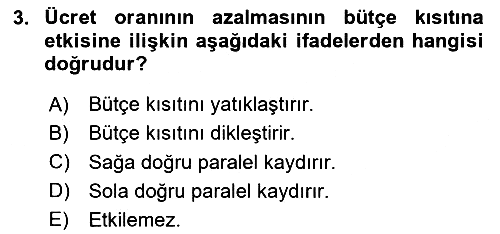 Çalışma Ekonomisi 2024-2025 Ara Sınav - 3. soru