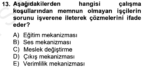 Çalışma Ekonomisi 2012-2013 Dönem Sonu Sınavı - 13. soru