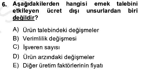 Çalışma Ekonomisi 2013-2014 Dönem Sonu Sınavı - 6. soru