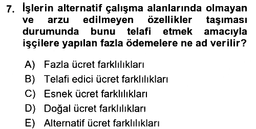 Çalışma Ekonomisi 2016-2017 Dönem Sonu Sınavı - 7. soru