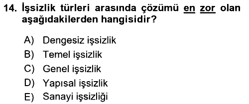 Çalışma Ekonomisi 2016-2017 Dönem Sonu Sınavı - 14. soru