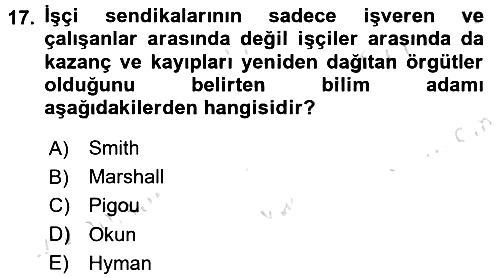 Çalışma Ekonomisi 2016-2017 Dönem Sonu Sınavı - 17. soru