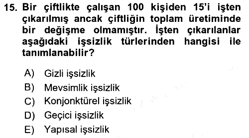 Çalışma Ekonomisi 2018-2019 Dönem Sonu Sınavı - 15. soru