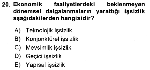 Çalışma Ekonomisi 2021-2022 Dönem Sonu Sınavı - 20. soru