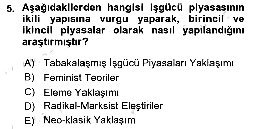 Çalışma Ekonomisi 2024-2025 Dönem Sonu Sınavı - 5. soru