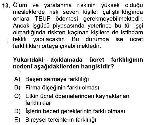 Çalışma Ekonomisi 2020-2021 Yaz Okulu Sınavı - 13. soru