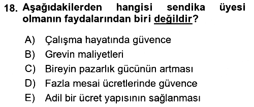 Çalışma Ekonomisi 2020-2021 Yaz Okulu Sınavı - 18. soru