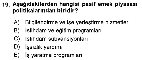 Çalışma Ekonomisi 2020-2021 Yaz Okulu Sınavı - 19. soru