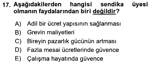 Çalışma Ekonomisi 2022-2023 Yaz Okulu Sınavı - 17. soru