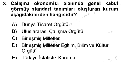 Çalışma Ekonomisi 2023-2024 Yaz Okulu Sınavı - 3. soru
