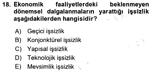 Çalışma Ekonomisi 2023-2024 Yaz Okulu Sınavı - 18. soru