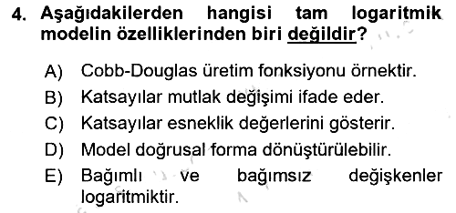 Ekonometrinin temelleri 2024-2025 Dönem Sonu Sınavı - 4. soru