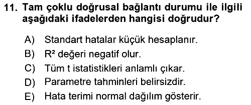 Ekonometrinin temelleri 2024-2025 Dönem Sonu Sınavı - 11. soru