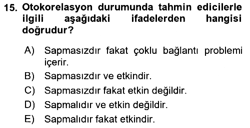 Ekonometrinin temelleri 2024-2025 Dönem Sonu Sınavı - 15. soru