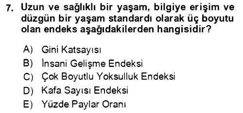 Ekonominin Güncel Sorunları 2021-2022 Dönem Sonu Sınavı - 7. soru