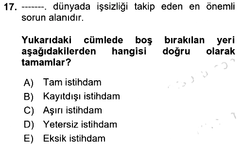 Ekonominin Güncel Sorunları 2020-2021 Yaz Okulu Sınavı - 17. soru