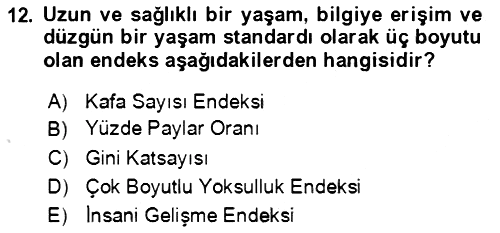 Ekonominin Güncel Sorunları 2021-2022 Yaz Okulu Sınavı - 12. soru