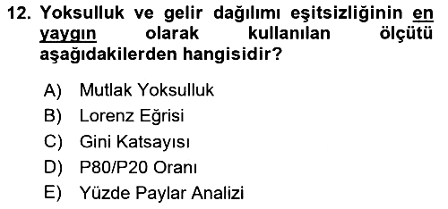 Ekonominin Güncel Sorunları 2025-2026 Yaz Okulu Sınavı - 12. soru