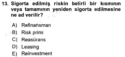 Finansal Ekonomi 2024-2025 Ara Sınav - 13. soru