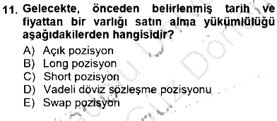 Finansal Ekonomi 2012-2013 Dönem Sonu Sınavı - 11. soru