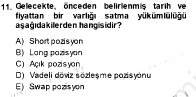 Finansal Ekonomi 2013-2014 Dönem Sonu Sınavı - 11. soru