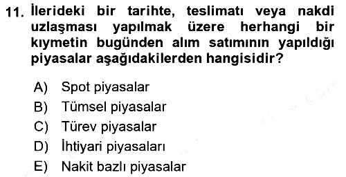 Finansal Ekonomi 2016-2017 Dönem Sonu Sınavı - 11. soru
