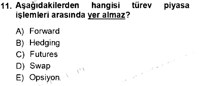 Finansal Ekonomi 2013-2014 Tek Ders Sınavı - 11. soru